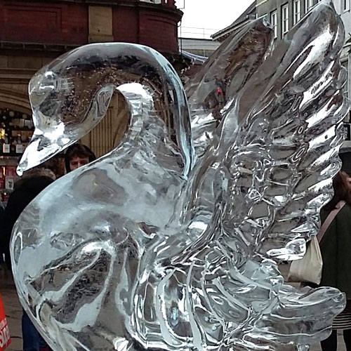York Ice Trail - Swan